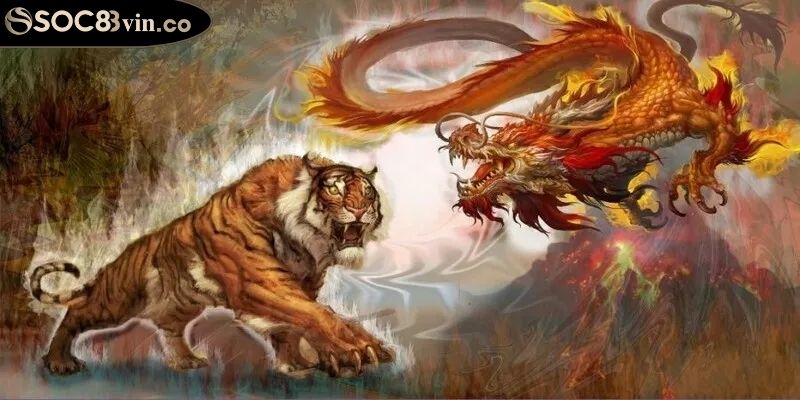 Hướng dẫn cách chơi Rồng Hổ SOC88 trực tuyến đơn giản