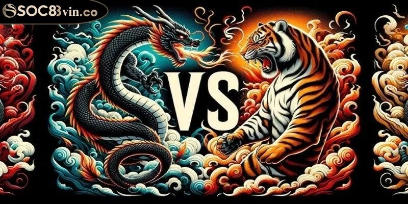 Luật cơ bản khi chơi Rồng Hổ