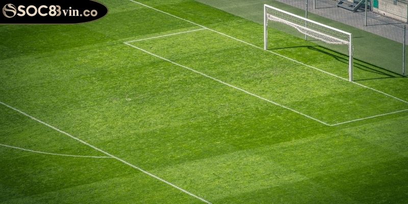 Kèo Tài Xỉu 3/3.5 SOC88 Chiến Lược Cho Người Chơi Thông Minh 2 Đôi điều về kèo tài xỉu 3/3.5 SOC88