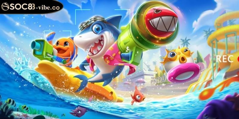 Nắm bắt quy luật về giá trị cá và điểm số 